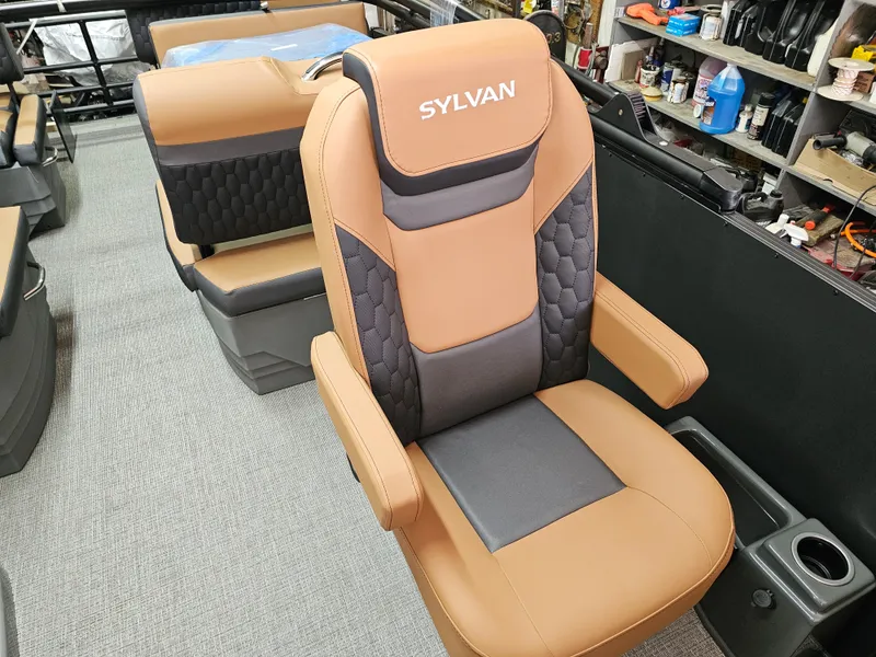 Slide: The Image of Sylvan L3 RLZ Platinum 2026 - 13