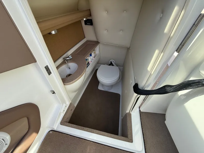 Slide: The Image of Cobalt 262 2009 - 90