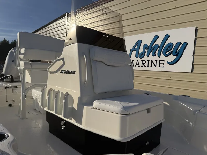 Slide: The Image of Skeeter SX221 2026 - 10