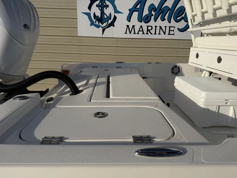 Slide: The Image of Skeeter SX221 2026 - 6