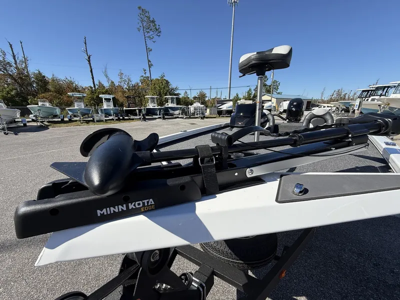 Slide: The Image of Vexus Defender 181 2026 - 3