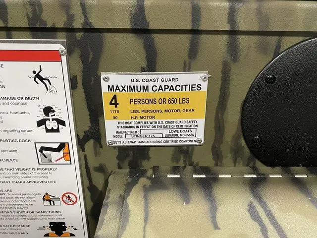 Slide: The Image of Lowe Stinger 175C 2026 - 8