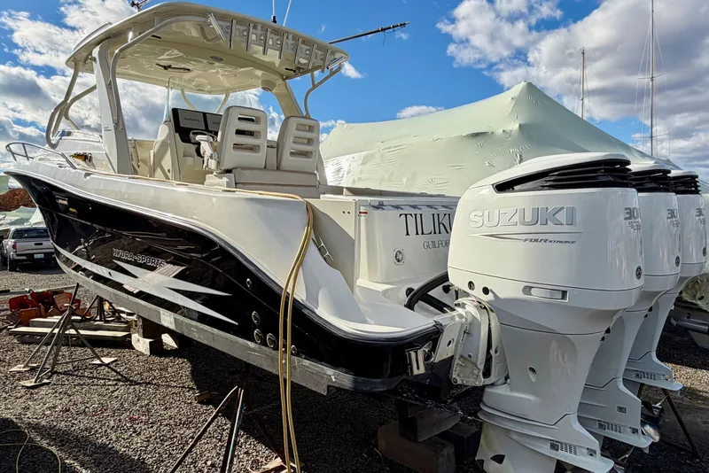 Slide: The Image of Hydra-Sports Vector 3500 VX 2008 - 46