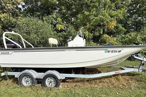 The Image of 2020 Boston Whaler 190 Montauk boat on trailer, surrounded by greenery. - 0