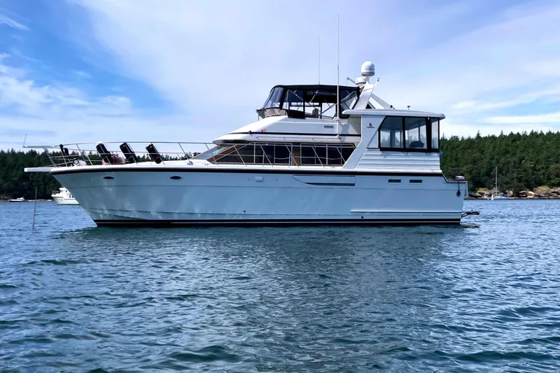 The Image of 1991 Jefferson 48 Rivanna Sundeck anchored on calm water. - 0