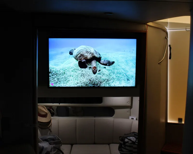 Slide: The Image of 2008 Chaparral 350 Signature cabin with TV displaying a sea turtle underwater. - 45