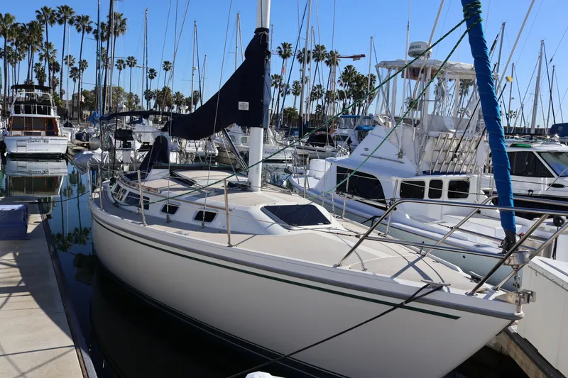 The Image of 1988 Catalina 30 MkII sailboat docked in a marina with palm trees. - 0