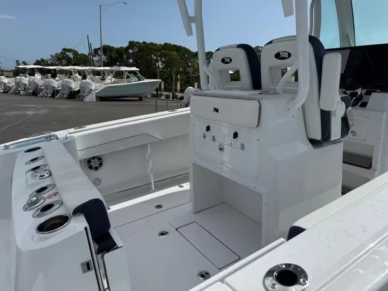 Slide: The Image of Stingray 253 CC 2025 - 4