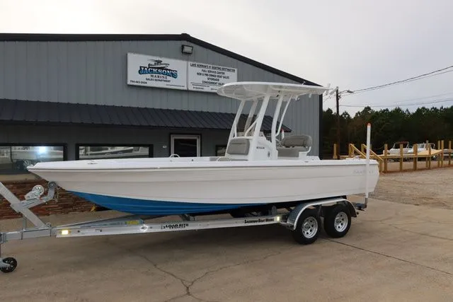 Slide: The Image of Savannah 210X 2026 - 2