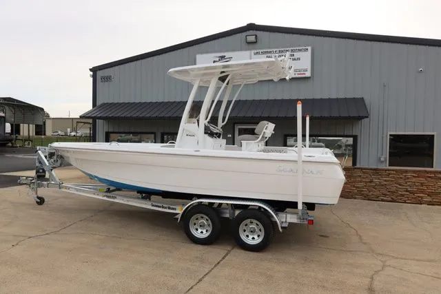 Slide: The Image of Savannah 210X 2026 - 3