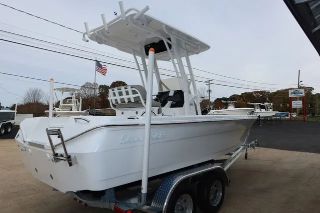 Slide: The Image of Savannah 210X 2026 - 5