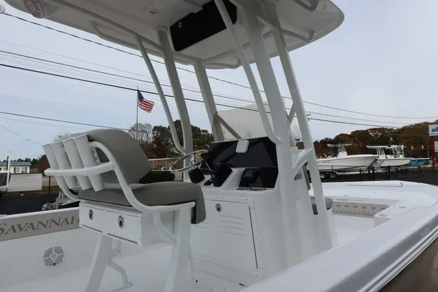 Slide: The Image of Savannah 210X 2026 - 6