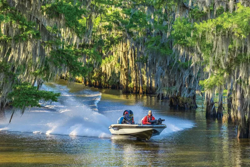 Slide: The Image of Ranger Z519R Cup-Equipped 2026 - 91