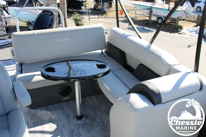 Slide: The Image of Sylvan Mirage 822 CLZ 2026 - 11