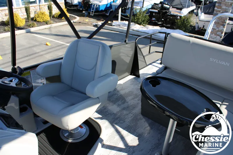 Slide: The Image of Sylvan Mirage 822 CLZ 2026 - 12