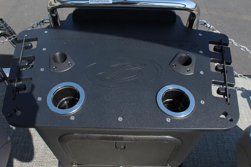 Slide: The Image of Barletta Aria 22F 2025 - 11