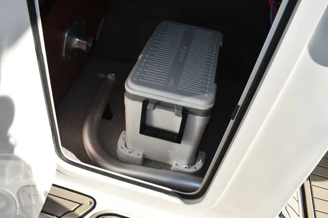 Slide: The Image of Stingray 231 DC 2024 - 47