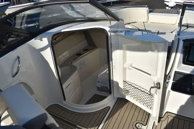 Slide: The Image of Stingray 231 DC 2024 - 62