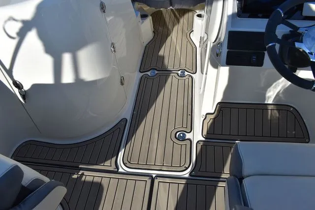 Slide: The Image of Stingray 231 DC 2024 - 66