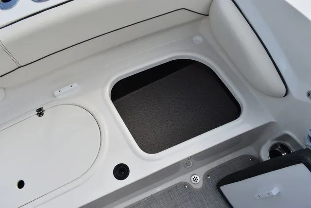 Slide: The Image of Stingray 201 DC 2024 - 27