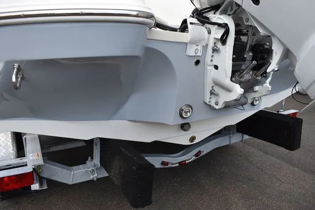 Slide: The Image of Stingray 201 DC 2024 - 54