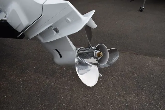 Slide: The Image of Stingray 201 DC 2024 - 55