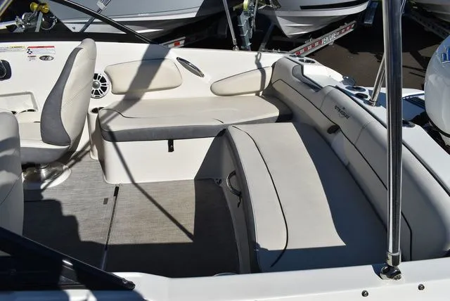 Slide: The Image of Stingray 191 DC 2024 - 16