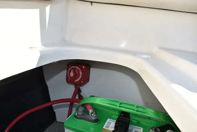 Slide: The Image of Stingray 191 DC 2024 - 26