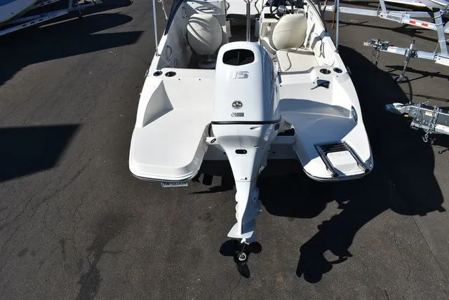 Slide: The Image of Stingray 191 DC 2024 - 8