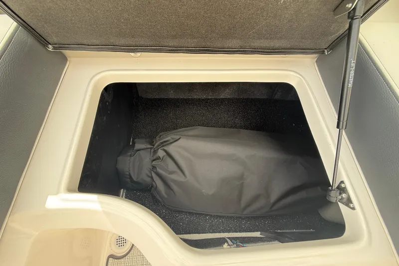 Slide: The Image of Open storage compartment in 2026 Regal LS2 boat with black cover. - 20