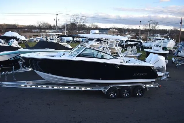 Slide: The Image of Blackfin 272 DC 2024 - 4