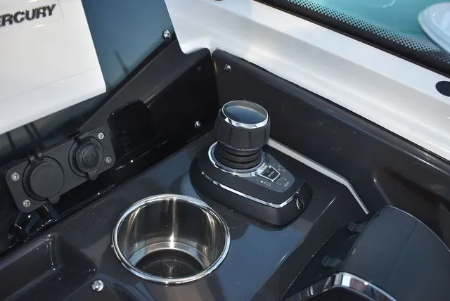 Slide: The Image of Blackfin 272 DC 2024 - 47