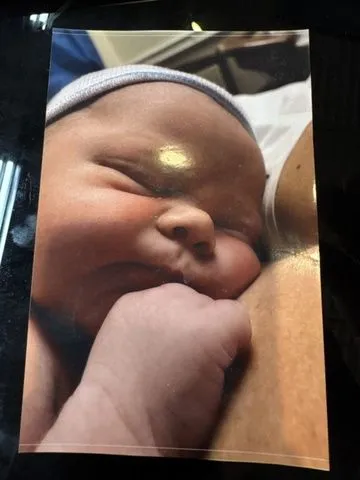 Slide: The Image of Avalon LSZ Elite 24' Top Sail 2020 - 8