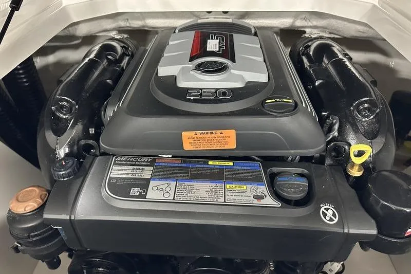 Slide: The Image of 2026 Chaparral 21 SSi engine, featuring a Mercury 250 horsepower motor. - 12