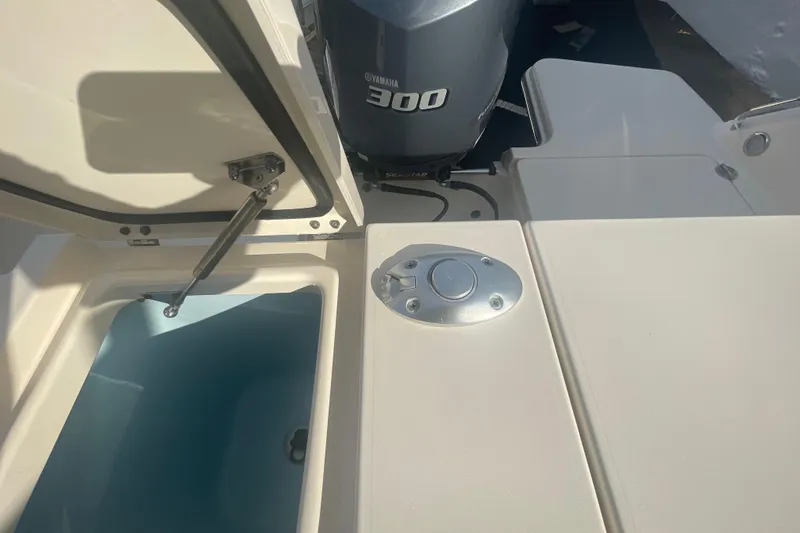 Slide: The Image of 2018 Grady-White Freedom 235 boat with Yamaha 300 engine, open storage compartment. - 28