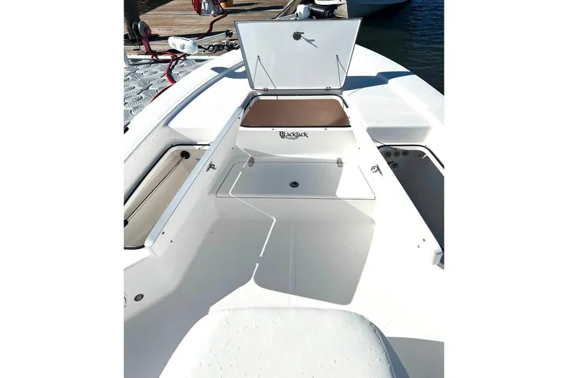Slide: The Image of 2015 BlackJack 224 boat interior with open storage compartments, docked by the water. - 28