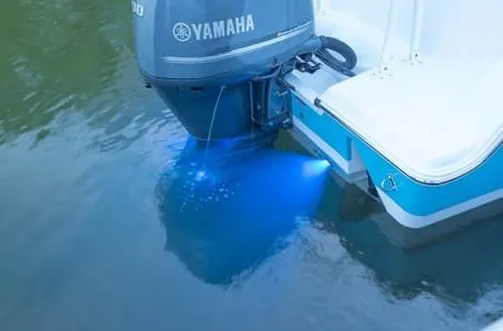 Slide: The Image of Sportsman Heritage 241 Center Console 2019 - 23