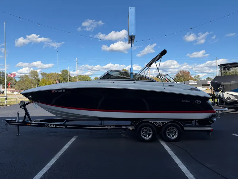 Slide: The Image of Cobalt 242 2013 - 5