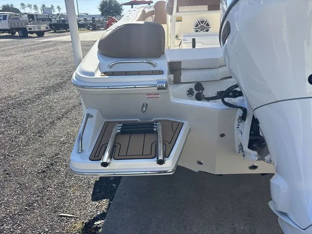 Slide: The Image of Pioneer 202 Islander 2026 - 8