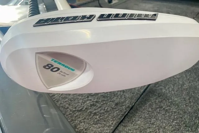 Slide: The Image of Trolling motor on 2017 Tracker Pro Team 195 TXW boat, featuring 80-pound thrust. - 3