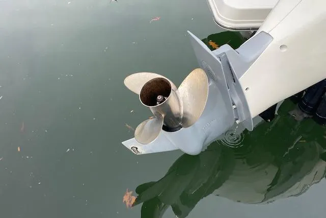 Slide: The Image of Open storage compartment on 2021 Boston Whaler 240 Vantage boat near dock. - 7