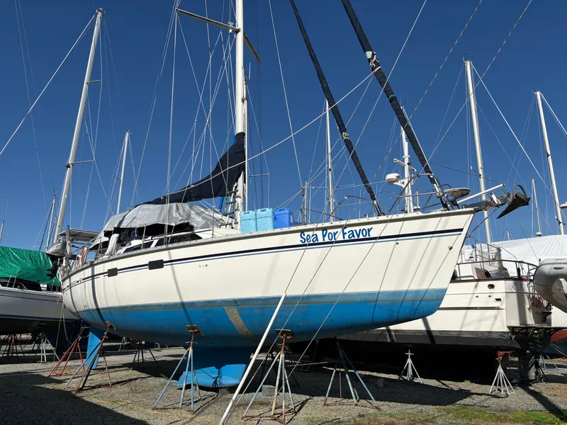 Slide: The Image of Hunter Passage 42 1992 - 53