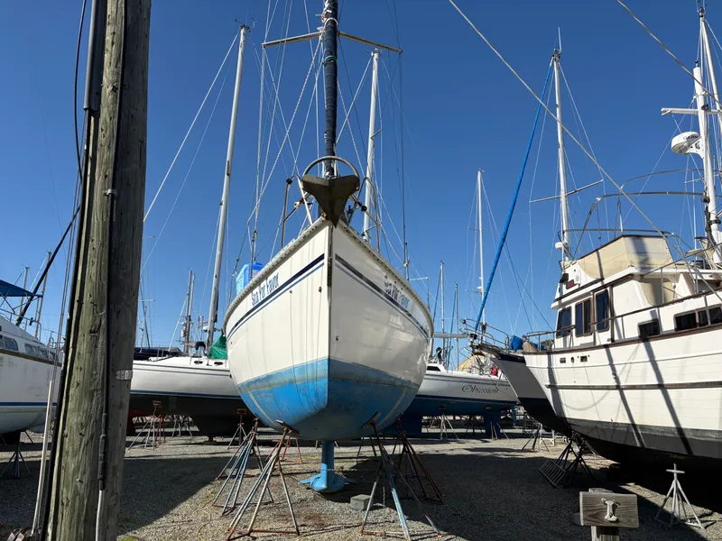 Slide: The Image of Hunter Passage 42 1992 - 54