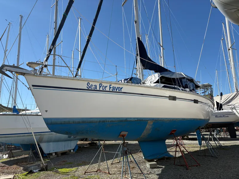 Slide: The Image of Hunter Passage 42 1992 - 55