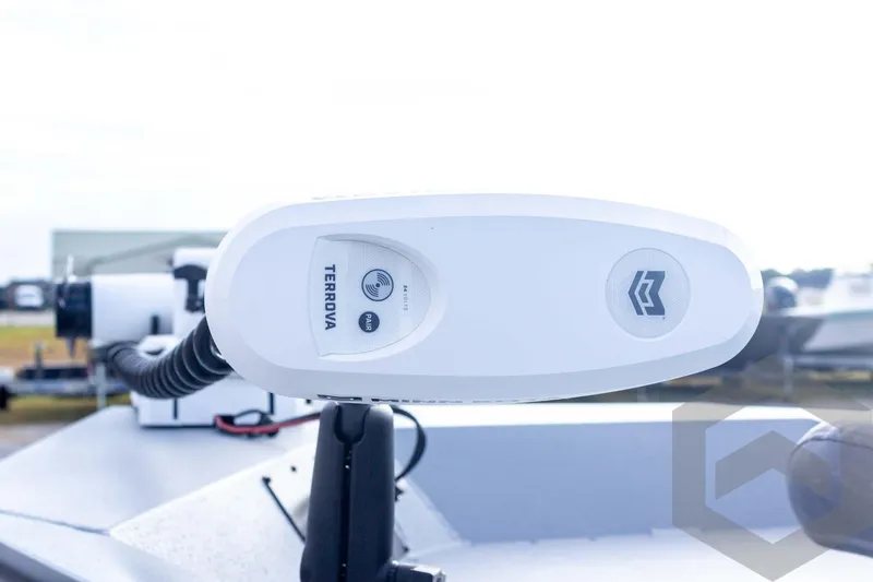 Slide: The Image of 2026 G3 Bay 19 GX boat with Terrova trolling motor, outdoor setting. - 11