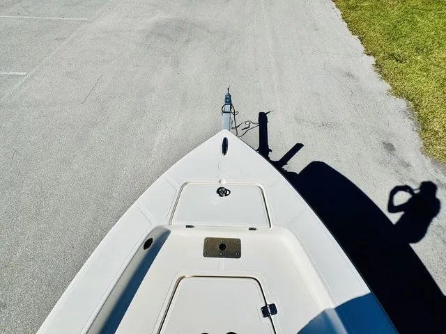 Slide: The Image of Sea Born 19CC 2021 - 13