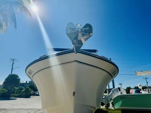 Slide: The Image of Grady-White Freedom 255 2019 - 17