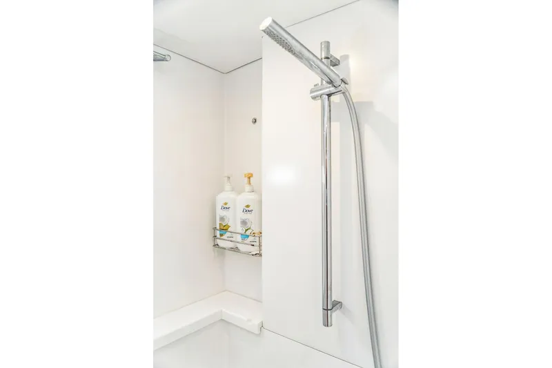 Slide: The Image of Modern shower with chrome fixtures and Dove products, Balance 482, 2024 model. - 99