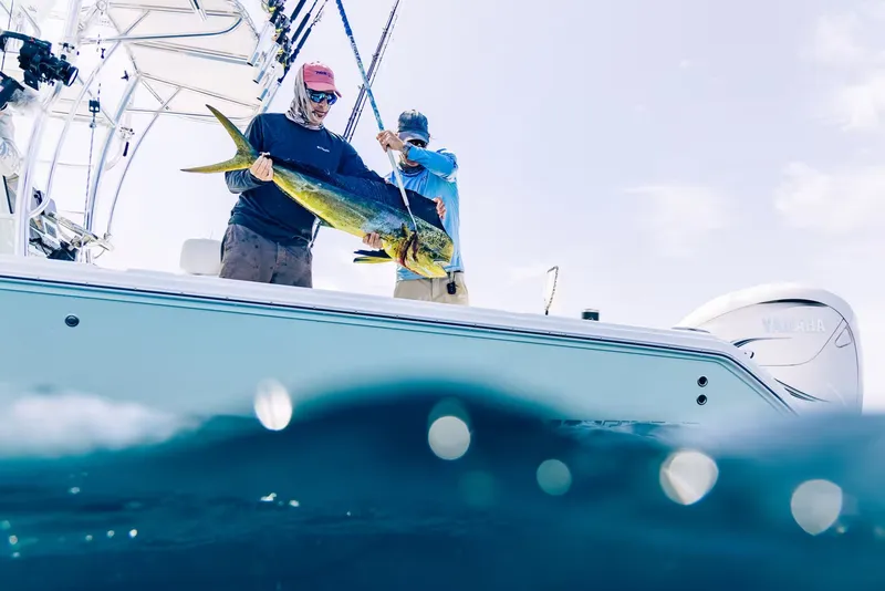 Slide: The Image of Pathfinder 2700 Open 2026 - 16