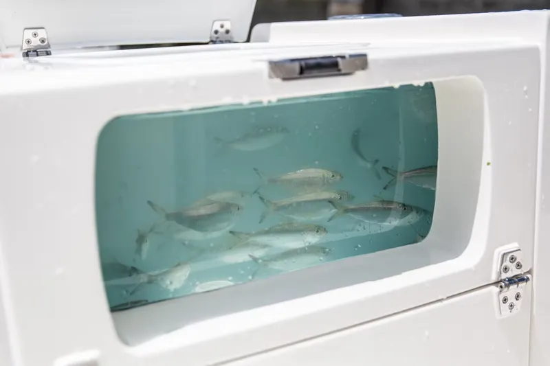 Slide: The Image of Pathfinder 2700 Open 2026 - 20